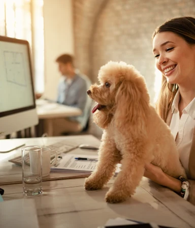 Parvovirus disinfection for Airbnbs and rental homes